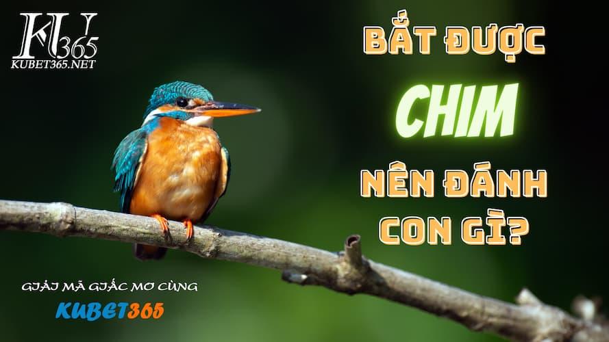 Bắt được chim đánh con gì