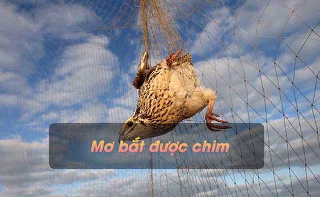 Ngủ mơ bắt được chim có điềm báo gì? Đánh con gì chuẩn