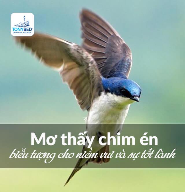 Mơ thấy chim én