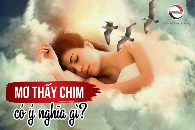 Giải mã ý nghĩa giấc mơ thấy con chim