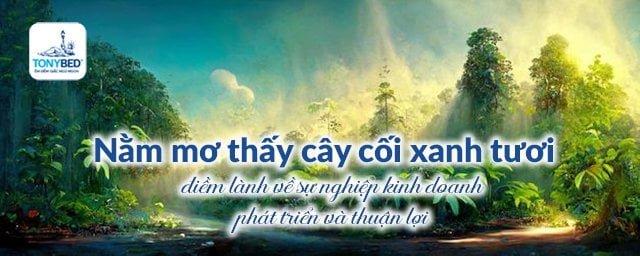 Mơ thấy cây cối xanh tươi