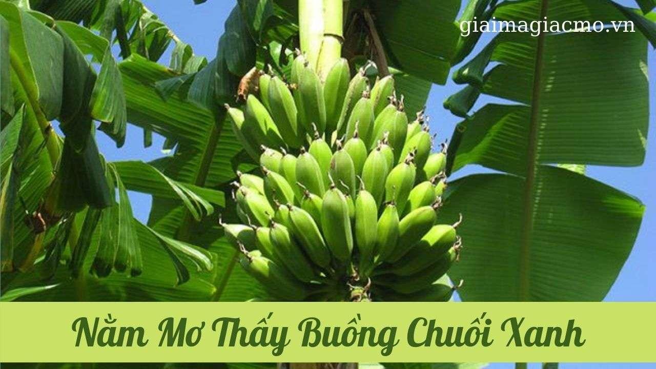 mơ thấy buồng chuối xanh