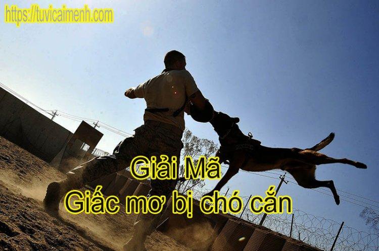 Giải Mã Giấc Mơ Bị Chó Cắn, Chó Tấn Công Có Ý Nghĩa Gì?