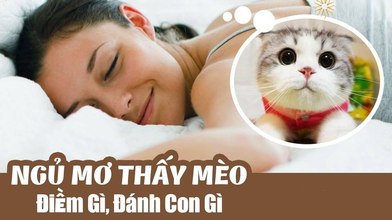 Ý nghĩa của việc nằm mơ thấy con mèo