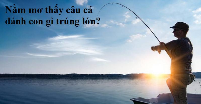 Nằm mơ thấy câu cá đánh con gì?