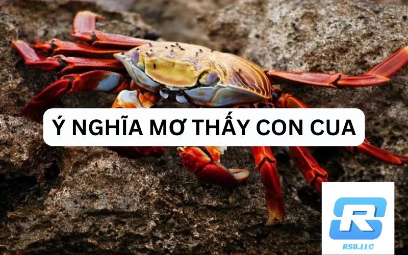 Mơ thấy cua đánh con gì?