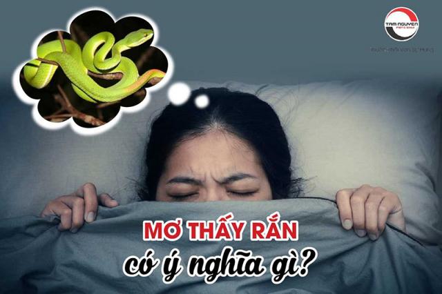 Giải mã ý nghĩa giấc mơ thấy con rắn