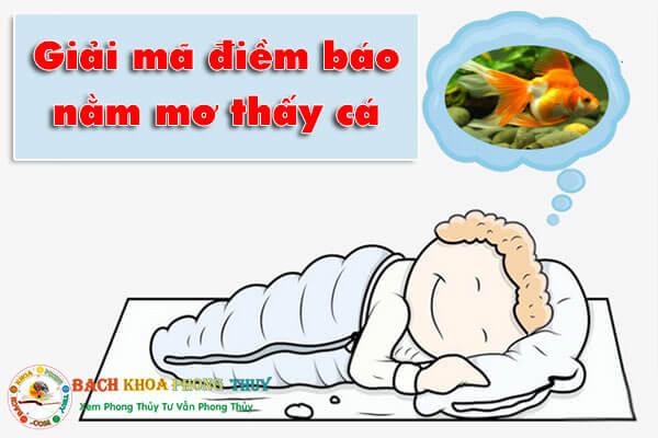 Giải mã điềm báo nằm mơ thấy cá như cá lóc, cá trê, cá rô, cá chép