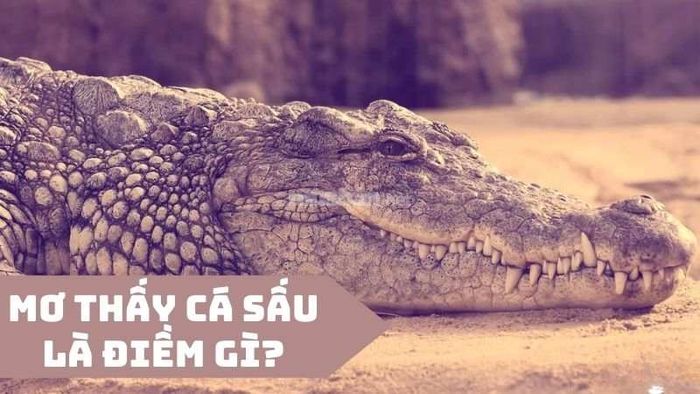 Giấc mơ thấy cá sấu có phải là điềm tốt hay xấu?