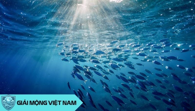 Nằm mơ thấy nhiều cá đánh con gì, điềm lành hay dữ? Bí ẩn từ đại dương sâu thẳm