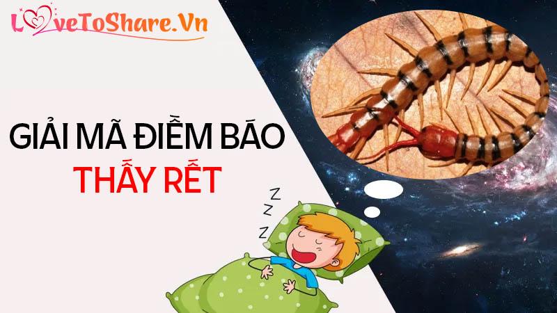 Ý nghĩa và điềm báo đằng sau giấc mơ thấy rết