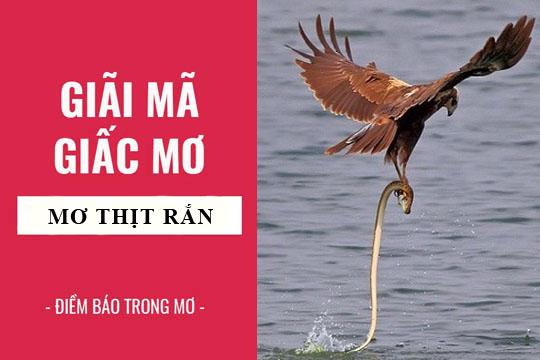 Mơ thấy ăn thịt rắn là điềm tốt hay xấu