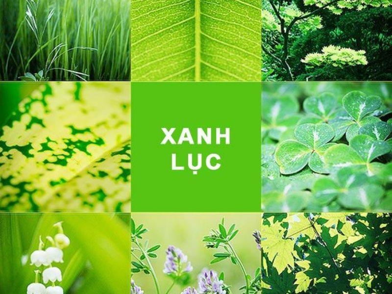 Màu xanh lục là màu gì? 