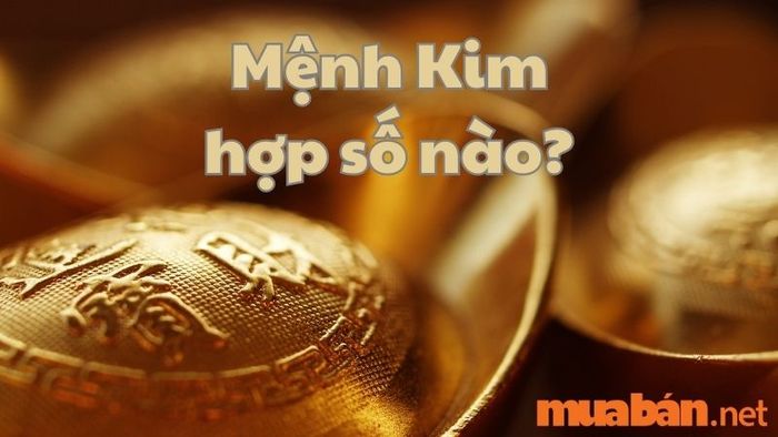 Con số nào hợp với mệnh Kim?