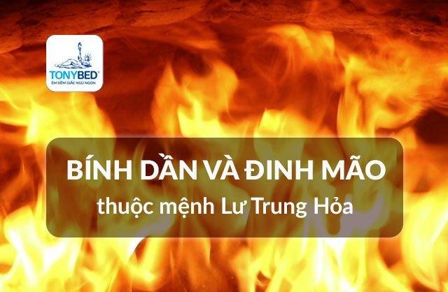 Những người sinh vào năm Bính Dần và Đinh Mão thuộc Lư Trung Hỏa