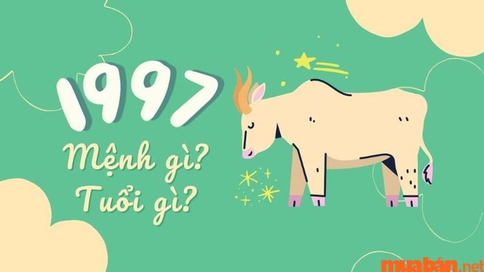 Tuổi Đinh Sửu sinh năm 1997 có mệnh gì, hợp màu sắc, hướng nào và tuổi nào phù hợp để kết hợp công việc, tình duyên?