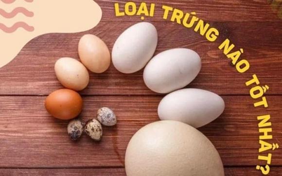 trứng nào bổ nhất, Trứng vịt, trứng cút, trứng ngỗng