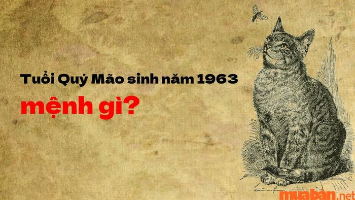 Sinh năm 1963 mệnh gì?