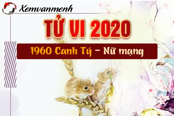 Xem Tử Vi Tuổi Canh Tý Năm 2020 Nữ Mạng