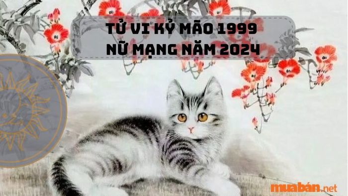 Khám Phá Tử Vi Kỷ Mão 1999 Nữ Mạng Năm 2024