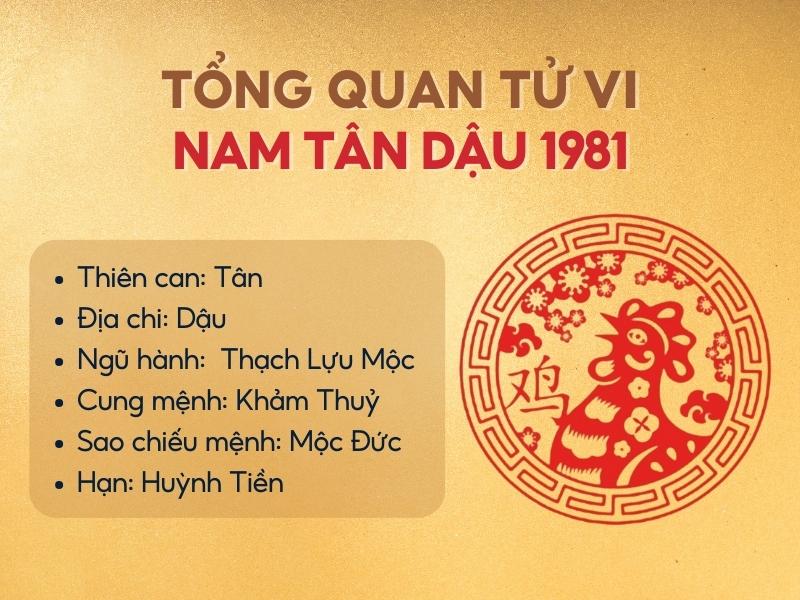 Tổng quan tử vi tuổi Tân Dậu năm 2025 nam mạng.