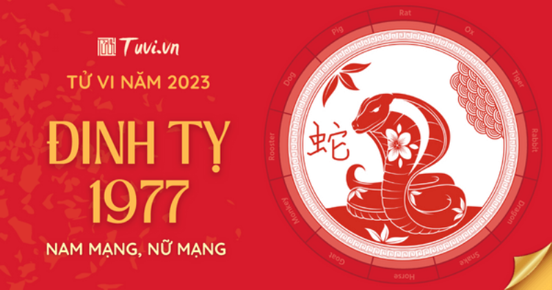 Tổng quan tử vi tuổi Đinh Tỵ nữ mạng 1977 năm 2022