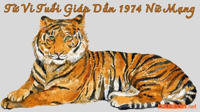 Tử vi tuổi Giáp Dần 1974 nữ mạng trong năm 2024