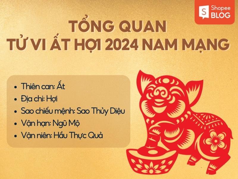 Tổng quan tử vi Ất Hợi 2024 nam mạng