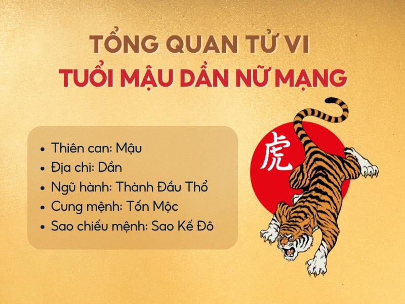 Tổng quan tử vi tuổi Mậu Dần năm 2025 nữ mạng