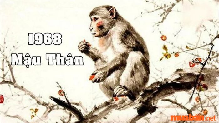 Tử vi chi tiết của nữ Mậu Thân 1968 năm 2024