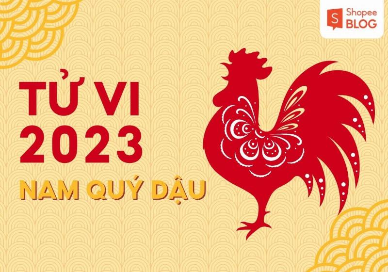 Tổng quan tử vi tuổi Quý Dậu 1993 nam mạng năm 2023