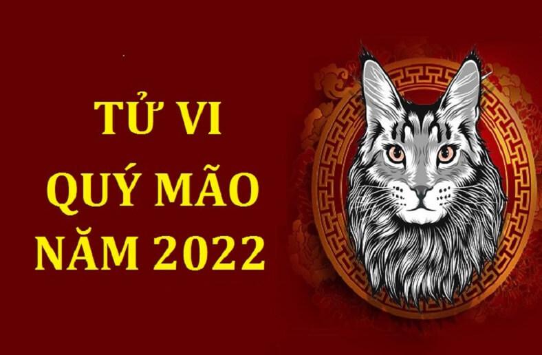 Tử vi tuổi quý mão 1963 năm 2022