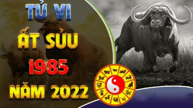 tuổi sửu 1985 năm 2022