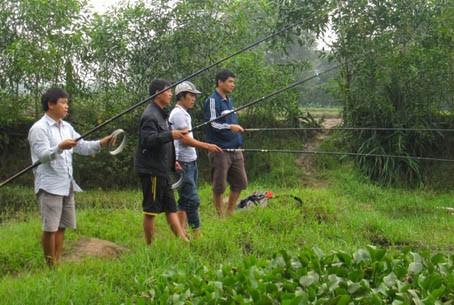 Các cần thủ buông câu...