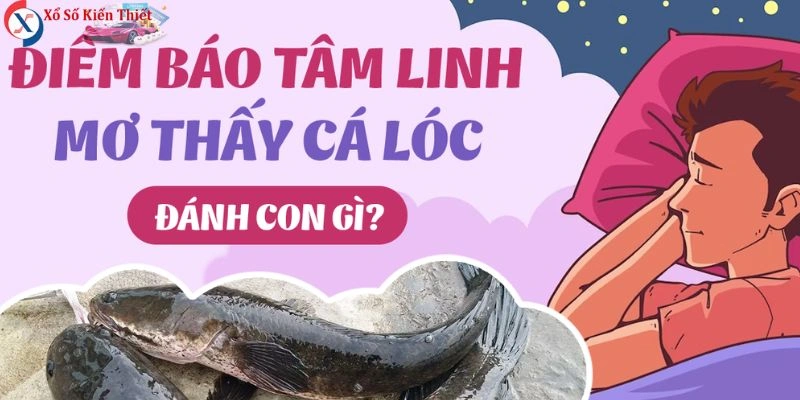 Nằm mơ thấy bắt được cá lóc, điềm báo tài lộc sắp đến