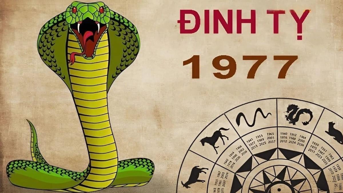 1977 mệnh gì?