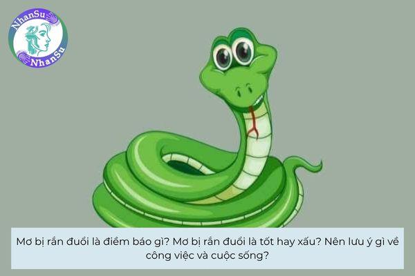 Mơ bị rắn đuổi là điềm báo gì? Mơ bị rắn đuổi là tốt hay xấu? Nên lưu ý gì về công việc và cuộc sống?
