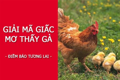 mo-thay-ga-danh-con-gi